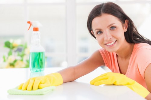Cleaning professional preparing a domestic service booking