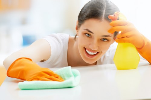 Professional cleaning company in Brixton for homes and businesses