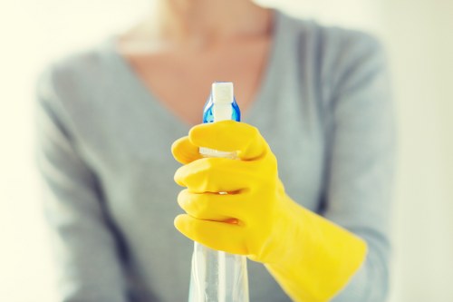 Professional cleaners in Brixton working in a modern home