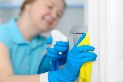 Carpets cleaner in Brixton using advanced equipment for deep cleaning