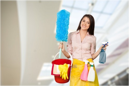 Professional Brixton cleaning service in a bright home