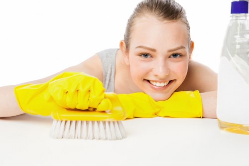 Local cleaning service equipment for a Brixton home