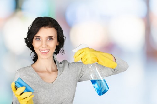 Bathroom descaling and cleaning in a Brixton flat
