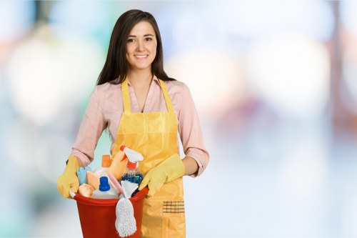 Family-friendly sofa cleaning with pet hair removal