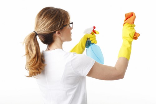 Brixton Cleaner team delivering tailored cleaning for local homes and businesses
